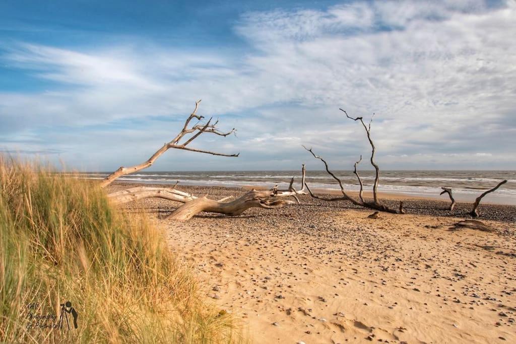 Covehithe House-Coastal Luxury- Sleeps 12-With Huge Swimspa! Wrentham Екстер'єр фото